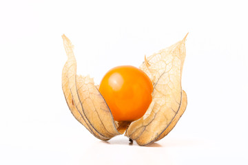 Fresh physalis on light background