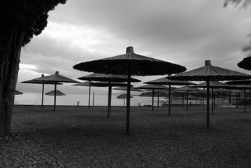 Umbrellas in black white