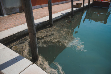 Polluted river Venice Italy ecological problem