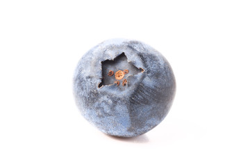 Fresh berry on light background