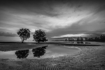 black white photos of bintan beach island indonesia