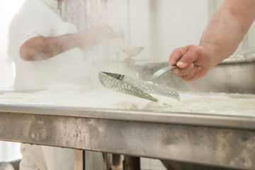 Caseificio con lavorazione mozzarella di bufala