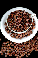 Kaffeetasse mit Kaffee bzw. Kaffeebohnen