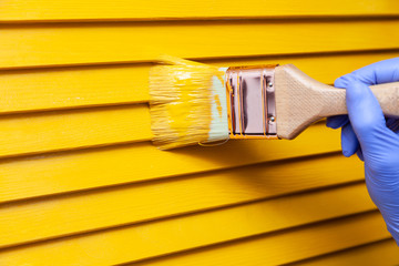 Closeup female hand in purple rubber glove with paintbrush painting natural wooden door with orange paint. Concept colored bright creative design interior for young family. How to Paint Wooden Surface