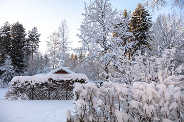 forest, winter, sun, house under the snow