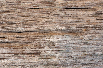 Fototapeta premium Natural old wood texture background.