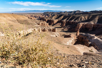 Road through gorge and valley of stones. Charyn canyon. Kazakhstan