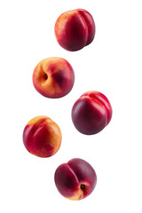 Five smooth-skinned nectarines isolated on white background with copy space for text or images. Close-up shot.