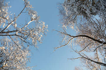 Snow, stairs under the snow, winter nature