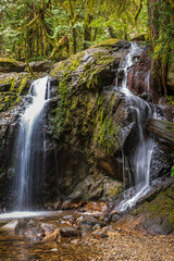 Fototapeta na wymiar Small mountain creek in Vancouver, Canada. Long exposure water flow.