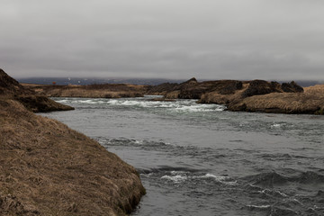 River and stunted grass on a dramatic landscape of Iceland.