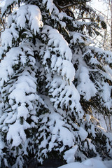 Snow, stairs under the snow, winter nature