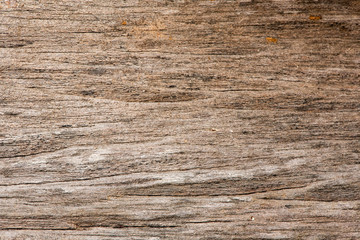 Naklejka premium Natural old wood texture background.