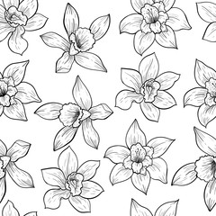 Vanilla flowers. Vector seamless pattern. Vintage style