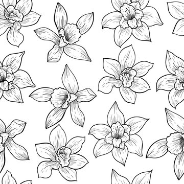 "Vanilla Extract" Images – Browse 1,253 Stock Photos, Vectors, and ...