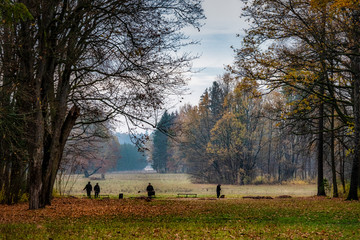 Morgens im herbstlichen Park