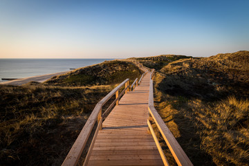 Strandtreppen Wanderweg auf der Insel Sylt mit Blick auf den Strand vom Kliff - 305479819