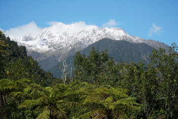 scenic view of the franz josef glacier