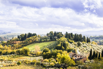 Colorful Tuscany Landscape with hills and cypress trees under the blue sky.