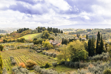 Fototapeta premium Tuscany landscape in Italy.