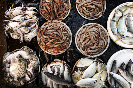 Fresh fish in market in Kerala, India on January 24, 2016