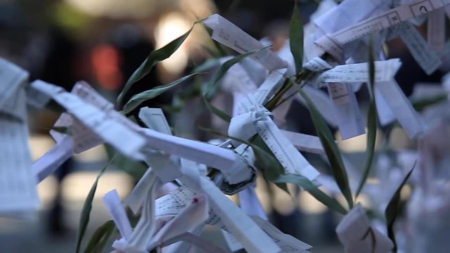 Oracles at japanese traditional shrine 