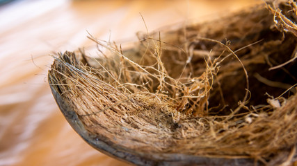 Close up of the detail of dried coconut fiber in the coconut fruit on the table.