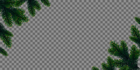 Green Christmas tree branches