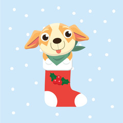 New Year Icon dog. The puppy sits in a Christmas sock..