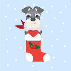 New Year Icon dog. The puppy sits in a Christmas sock..
