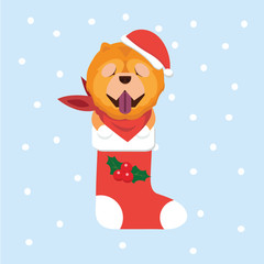 New Year Icon dog. The puppy sits in a Christmas sock..