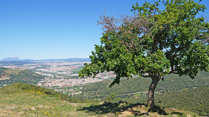 Mountain landscape in Catalonia overlooking mountains and small town among green hills