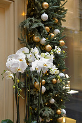 White Orchid on background of Christmas garlands with white and gold balls