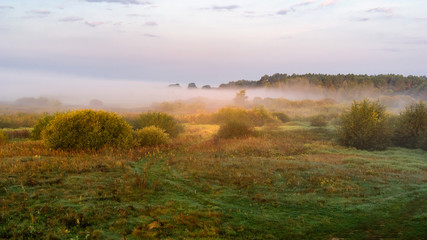 Fototapeta na wymiar Dolina Górnej Narwi, Poranne mgły nad rzeką Narew, Strabla, Podlasie, Polska