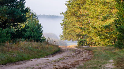 Dolina Górnej Narwi, Poranne mgły nad rzeką Narew, Strabla, Podlasie, Polska