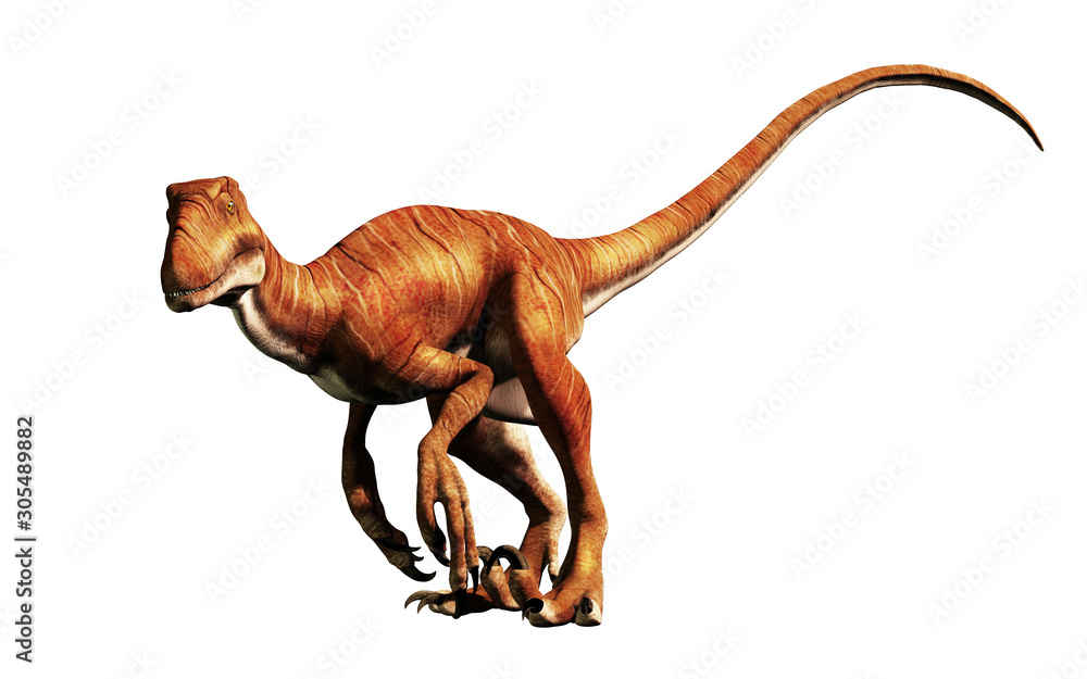 Aufkleber deinonychus is a theropod dinosaur, a cousin of velociraptor, that lived during the cretaceous. here