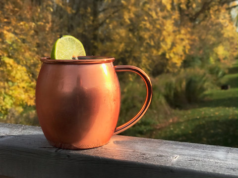 alcoholic beverage in copper mug with lime