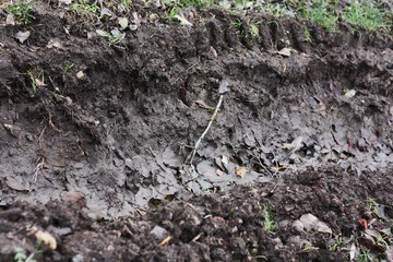 Track from a car wheel on the road 