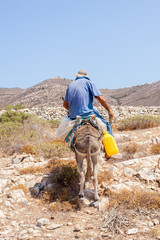 Climb with donkey to the mountain, Santorini, Greek Islands