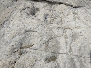 traces empreintes dinosaure Asturies Asturias Espagne