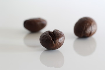 chocolates on white background