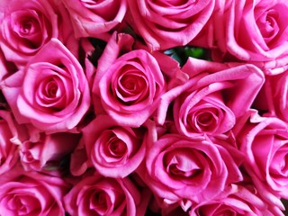 Lovely pink background  for wedding, love, valentine, marriage, anniversary, birthday