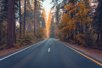 Fototapeta premium Beautiful scenic road through autumn forest
