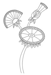 Ornamental dandelion flowers, hand drawn, line art
