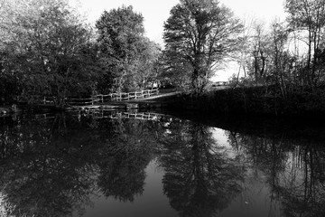 Reflet dans un &eacute;tang en r&eacute;gion Rh&ocirc;ne-Alpes - France