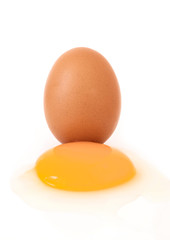 close-up one egg chicken isolated on white background