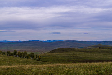 Hills. Sky. The clouds. The boundless steppe. The trees.
