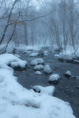 冬の奥入瀬渓流