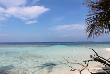 Fototapeta na wymiar Palm trees, beach and sea in the Maldives