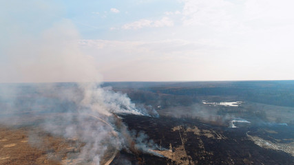 Forest and field fire. Dry grass burns, natural disaster. Aerial view.